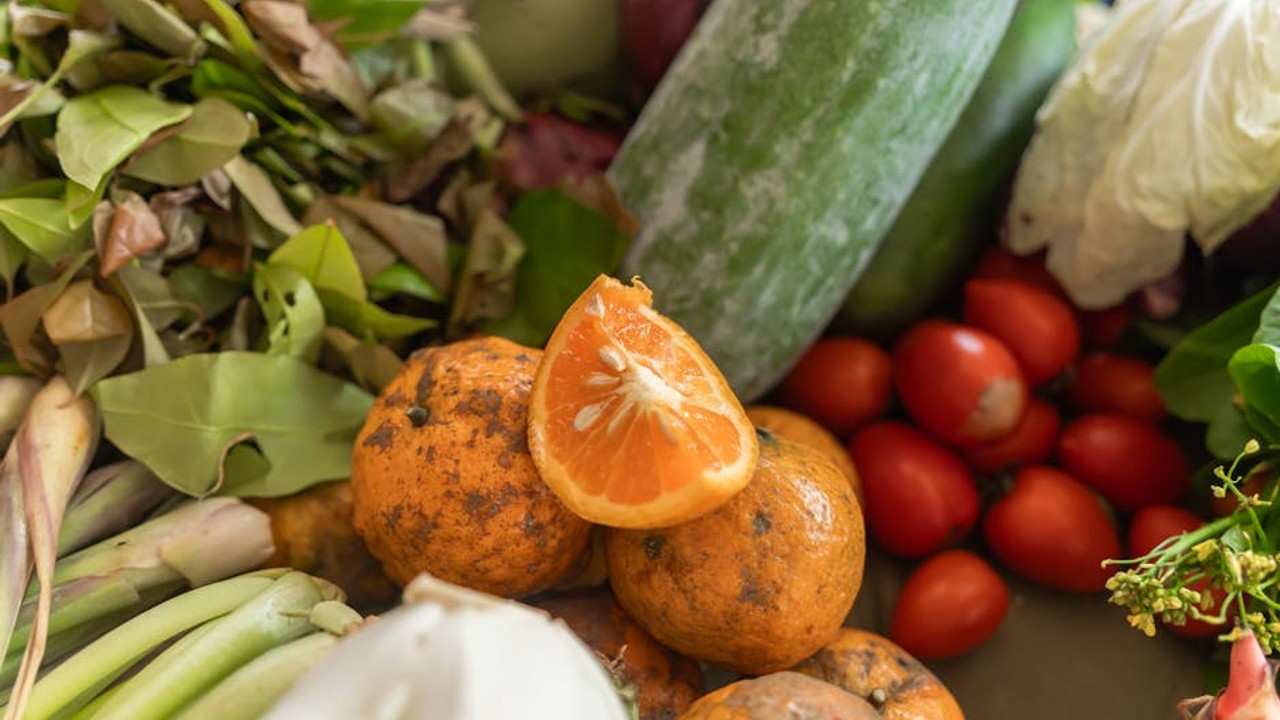 Cellulose for Health